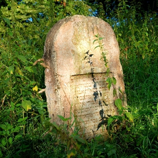 DSC_0118 Ustrzyki Dolne, cmentarz żydowski - kirkut, 2010 (foto: P. Szechyński)