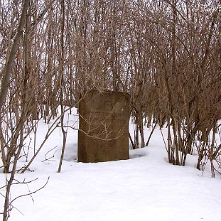 wmichowa1 Wola Michowa, cmentarz żydowski - kirkut, 2005 (foto: J. Milczanowska)