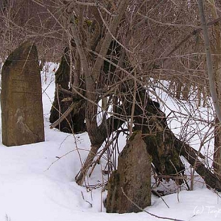 wmichowa5 Wola Michowa, cmentarz żydowski - kirkut, 2005 (foto: J. Milczanowska)