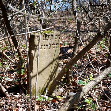 Wola Michowa, cmentarz żydowski