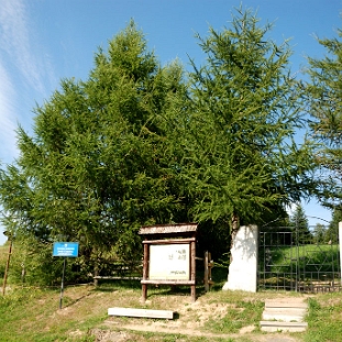 DSC_0125a Lutowiska, cmentarz żydowski - kirkut, 2017 (foto: P. Szechyński)