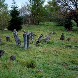 DSC_0192 Lutowiska, cmentarz żydowski - kirkut, 2013 (foto: P. Szechyński)