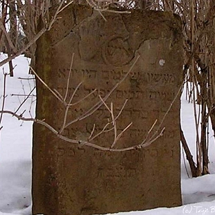 wmichowa2 Wola Michowa, cmentarz żydowski - kirkut, 2005 (foto: J. Milczanowska)