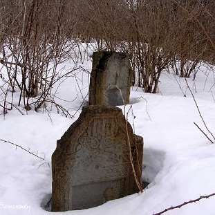wmichowa4 Wola Michowa, cmentarz żydowski - kirkut, 2005 (foto: J. Milczanowska)