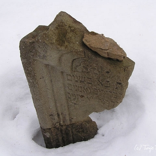 wmichowa7 Wola Michowa, cmentarz żydowski - kirkut, 2005 (foto: J. Milczanowska)