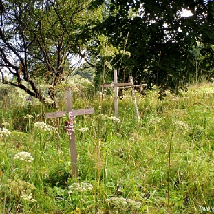 zubracze2005b Żubracze, cmentarz i miejsce po cerkwi, 2005 (fot. P. Szechyński)