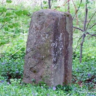 223535hulskie Hulskie, dawny cmentarz, 2005 (fot. P. Szechyński)