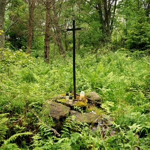 solinka2010k Solinka cmentarz i miejsce po cerkwi, czerwiec 2010 (foto: P. Szechyński)