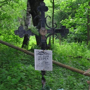 zawoj2 Zawój, cmentarz w nieistniejącej wsi, 2005 (foto: J. Milczanowska)