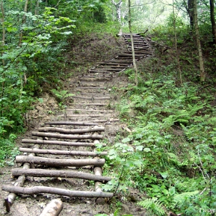 chocen2007b Choceń, teren dawnej wsi, schody do obozu harcerzy, którzy pomagali w pracach porządkowych, 2007 (foto: P. Szechyński)