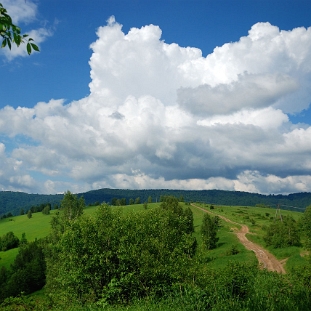 krywe2020a Krywe, droga do wsi przez wzgórze Ryli, 2020 (foto: P. Szechyński)