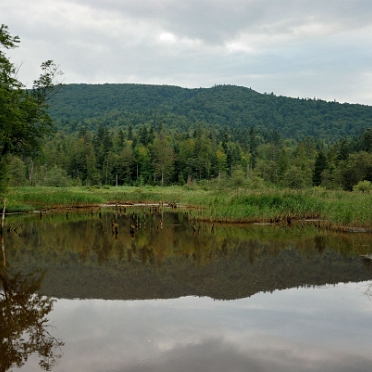 Jeziorko Bobrowe w pobliżu nieistniejącej wsi Huczwice