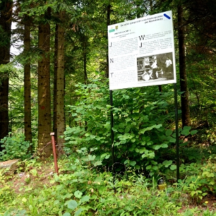komancza2012c Komańcza, okolice potoku Piwny. Miejsce rozstrzelania przez hitlerowców w sierpniu 1943 roku, 26-28 osób społeczności cygańskiej, 2012 (foto: P. Szechyński)