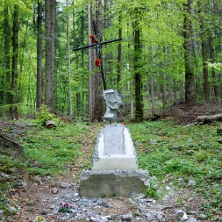upa2009d Duszatyn (okolica), nieistniejący obelisk pamięci UPA, wiosna 2009 (foto: P. Szechyński)