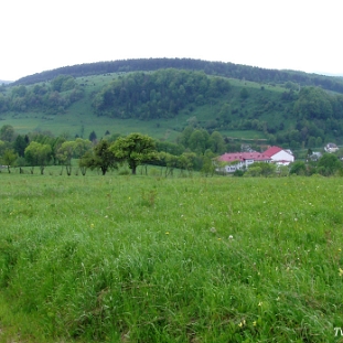 komancza2005m Komańcza, wzgórze Mogiła, 2005 (foto: P. Szechyński)