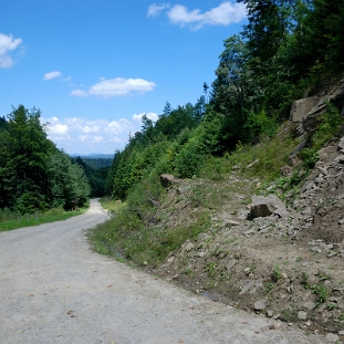 tarnawa2018d Tarnawa Niżna, droga leśna nr 19, biegnie tędy ścieżka do punktu widokowego Pichurów, 2018 (foto: P. Szechyński)