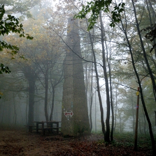 chrysz2014b Chryszczata, obelisk na szczycie, jesień (foto: P. Szechyński)