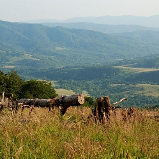 jaslo2013e Jasło, jedna z polan na szlaku od strony Przełęczy nad Roztokami. W dole słowacka wieś Ruske (foto: P. Szechyński)