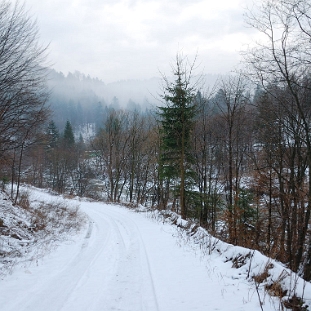 sine2010i Sine Wiry zimą, droga od strony Polanek (foto: P. Szechyński)