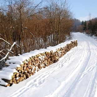 sine2010k Sine Wiry zimą (foto: P. Szechyński)