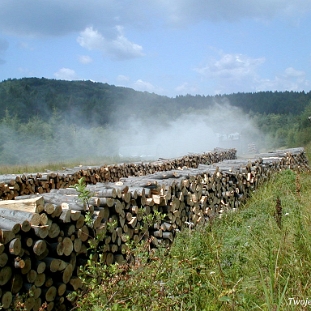 balnica2003c Balnica, wypał węgla w roku 2003 (foto: P. Szechyński)