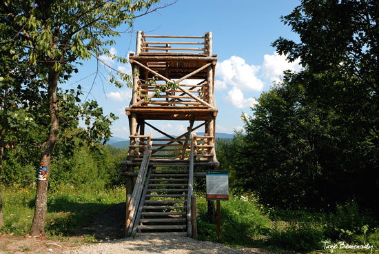 wieża widokowa na Przełęczy Przysłup