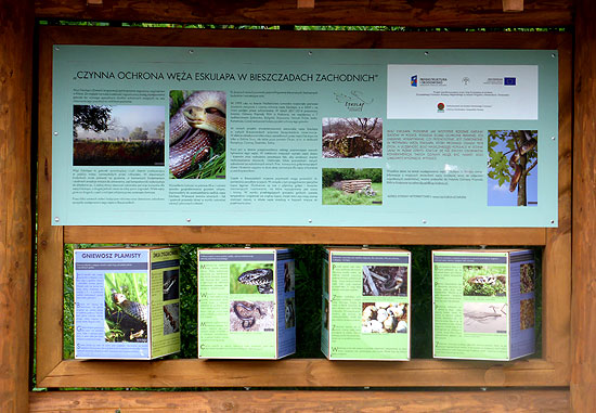 Tablica edukacyjna ochrona węża Eskulapa w Sękowcu w dolinie Sanu