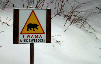 Tablica ostrzegająca przed spotkaniem niedźwiedzia