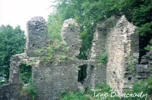 Pozostałości obronnego zamku Kmitów