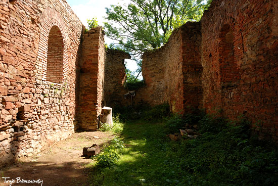 Ruiny cerkwi w Krywem latem 2013