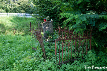 Wołkowyja, stary cmentarz