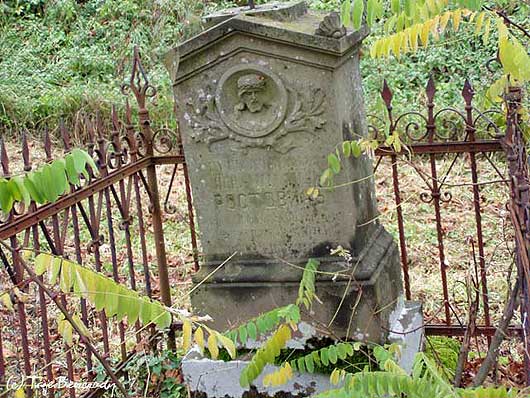 Wołkowyja, cmentarz