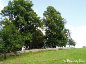 Cmentarz w Żubraczem jest częściowo ogrodzony