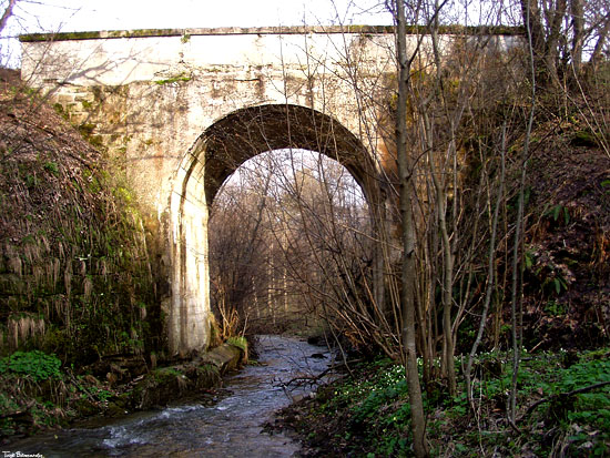 Most kolejki w Woli Michowej
