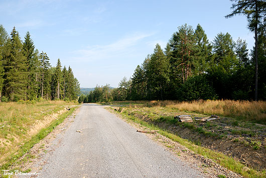 Nowa droga z Zubeńska do Woli Michowej