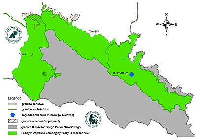Leśny Kompleks Promocyjny Lasy Bieszczadzkie