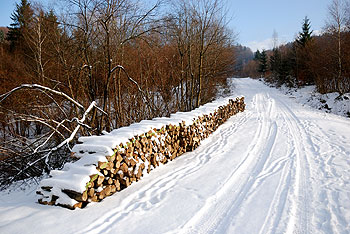 Zima w Bieszczadach