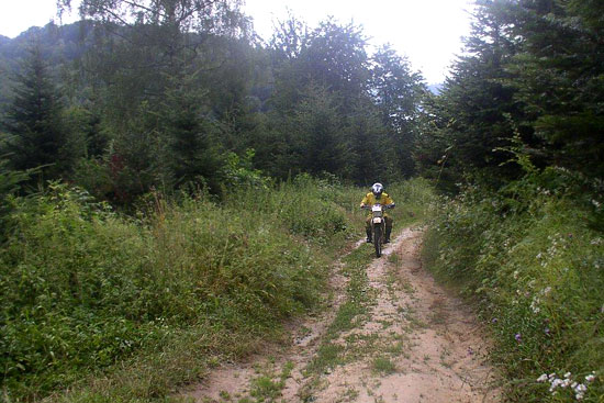 Motocrossowiec na leśnej drodze