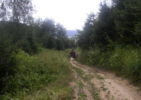 Motocrossowiec na leśnej drodze