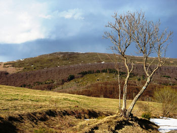 Bieszczady