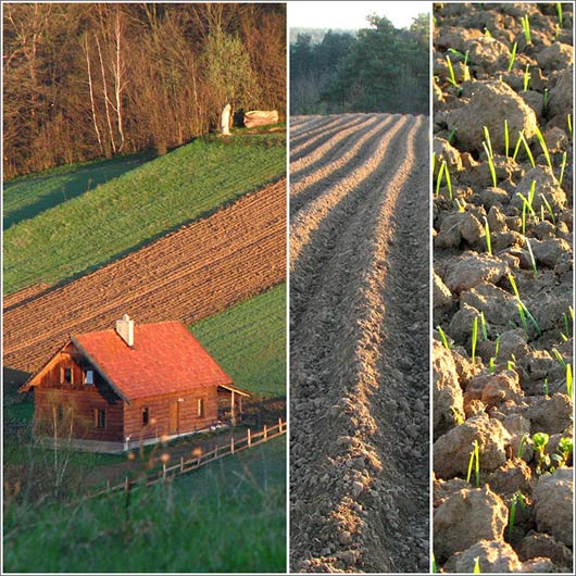 Fotowarsztaty Bieszczady