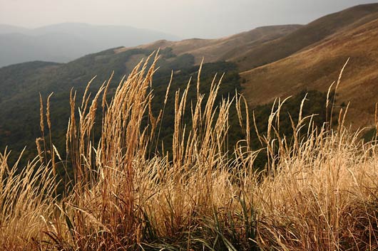 Fotowarsztaty Bieszczady połoniny