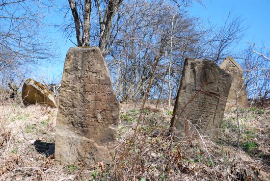 Kirkut w Woli Michowej - sprzątanie