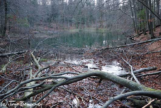 Dolne Jeziorko Duszatyńskie