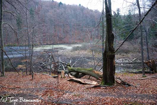 Górne Jeziorko Duszatyńskie