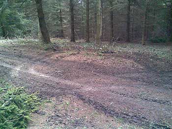 Ślady quadów