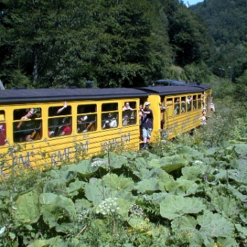 kolejka2003e Bieszczadzka Kolejka Leśna, Solinka, 2003 (foto: P. Szechyński)