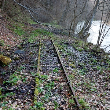 kolejka2010j Bieszczadzka Kolejka Leśna, Prełuki, torowisko nad Osławą, 2010 (foto: P. Szechyński)