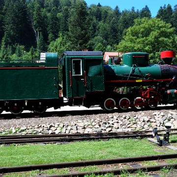 kolejka2013e Bieszczadzka Kolejka Leśna, parowóz Las, Majdan 2013 (foto: P. Szechyński)