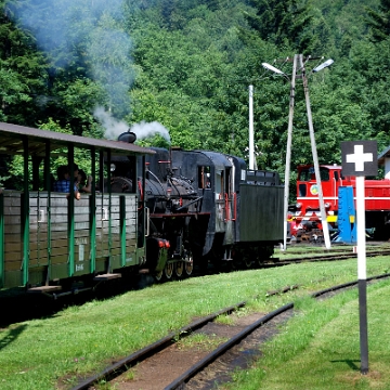 kolejka2013g Bieszczadzka Kolejka Leśna, Majdan 2013 (foto: P. Szechyński)